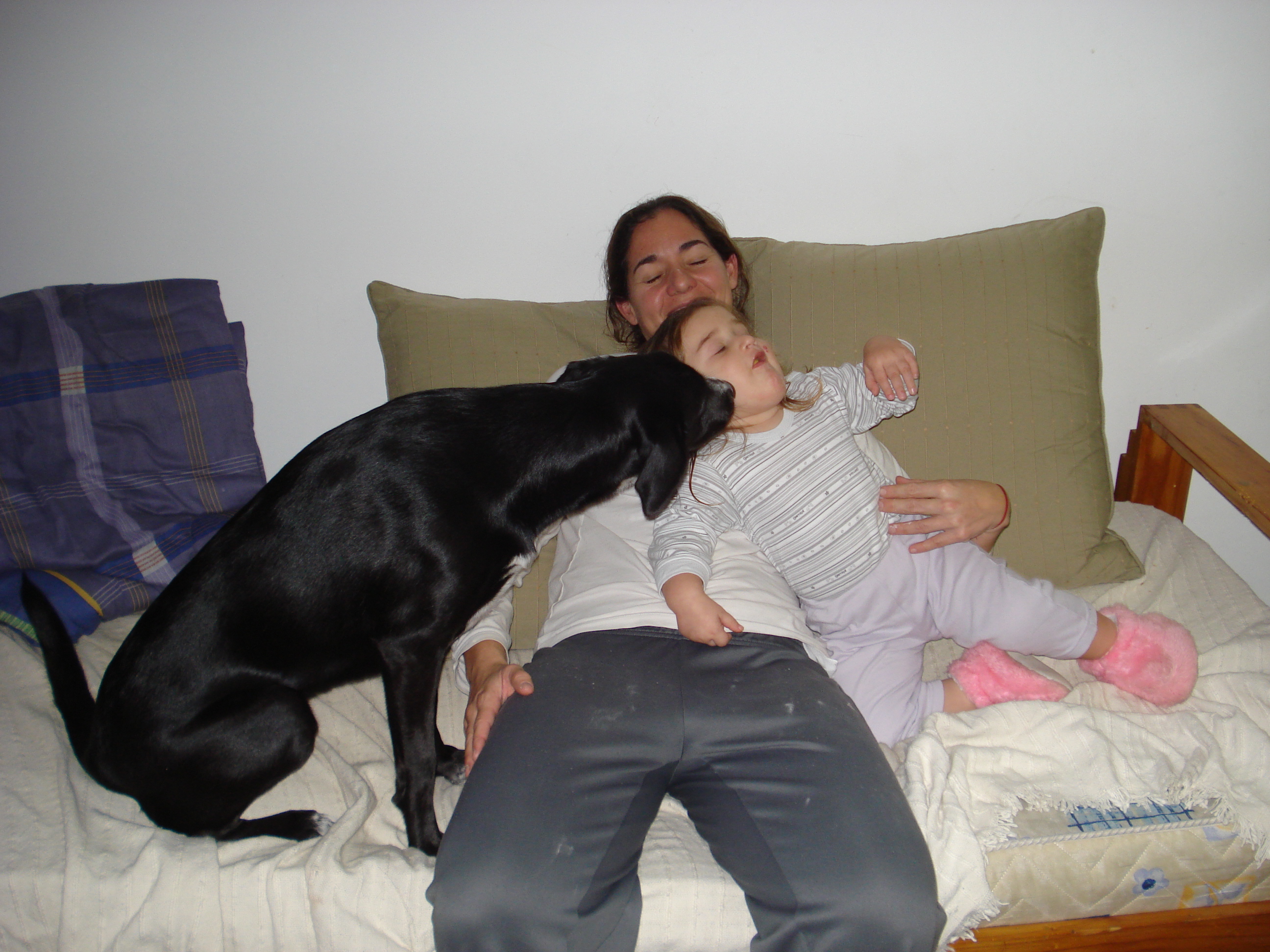 fotos/2012-12-25 - Rosario/DSC04229.JPG